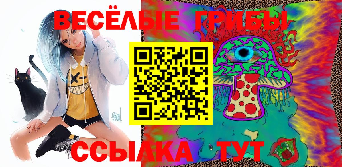 Псилоцибиновые грибы Psilocybe  Вход с VPN  Кольчугино 